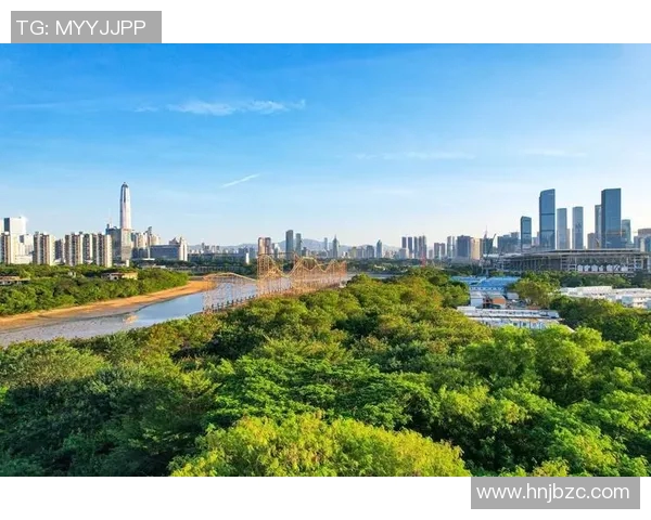 深圳羽毛球队的蜕变之路联合会杯特别报道见证新篇章